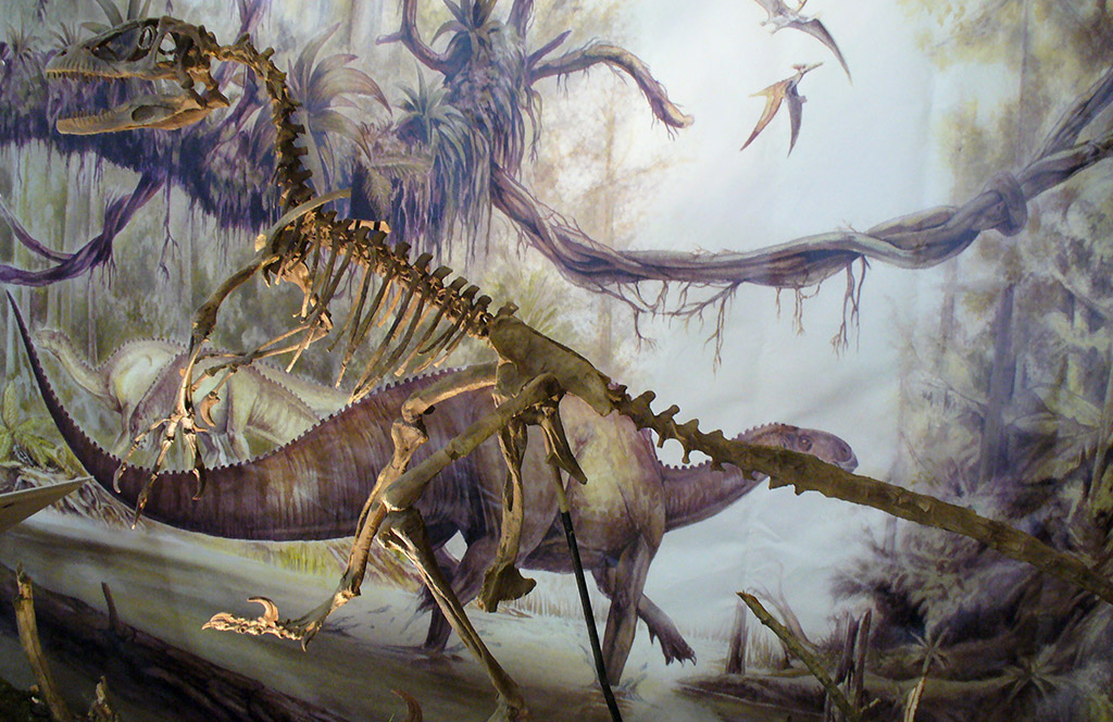 museo-paleontologico parco della preistoria