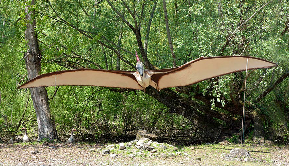 Pteranodonte - parco della preistoria
