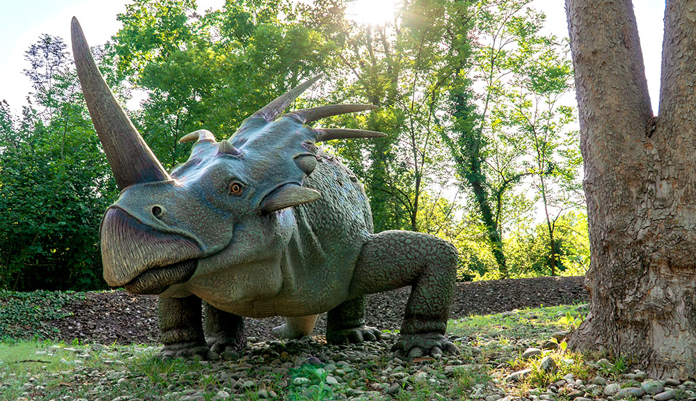 Stiracosauro - parco della preistoria