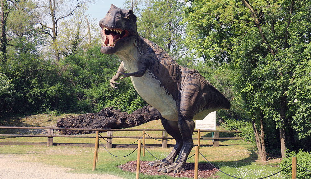 Tirannosauro - parco della preistoria
