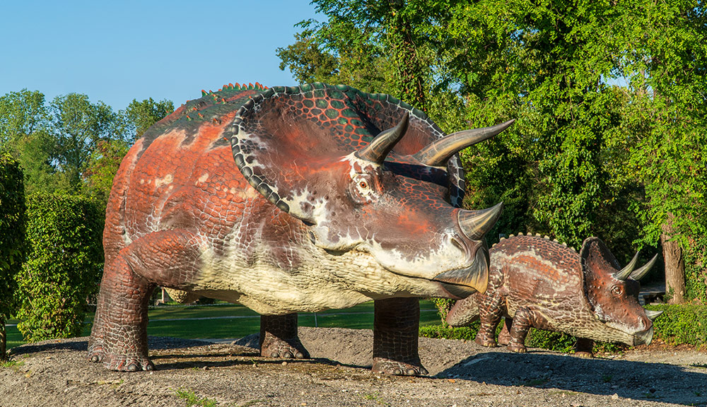 Triceratopo - parco della preistoria
