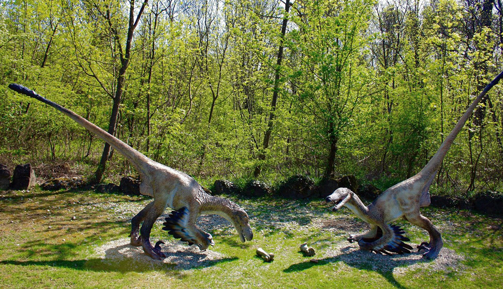 Velociraptor - parco della preistoria