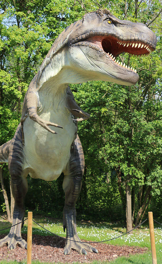 T-rex - Parco della Preistoria