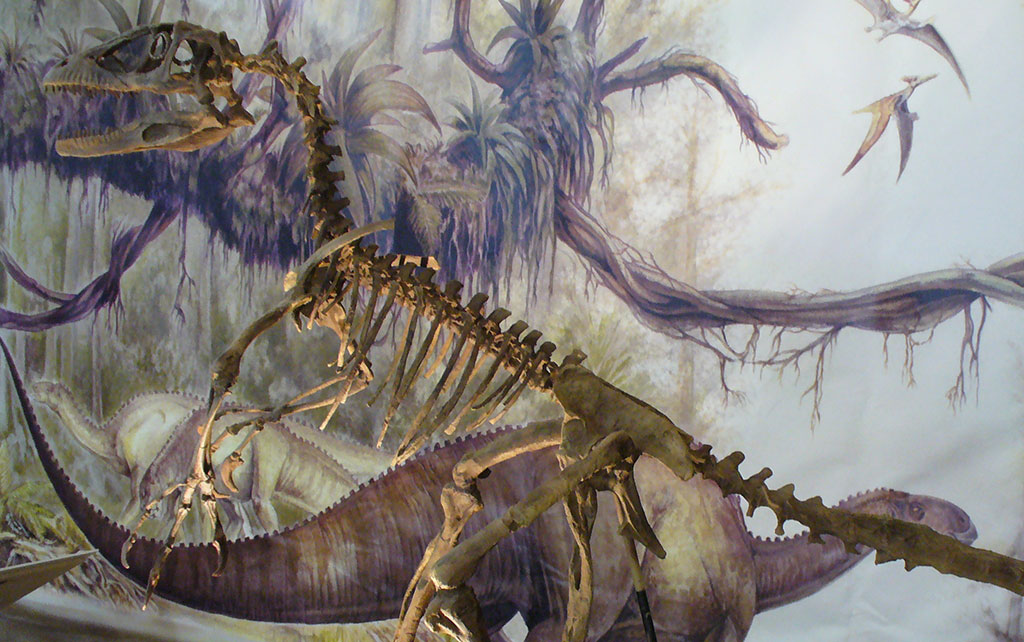 La paleontologia in gioco